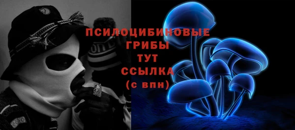 тгк Алексеевка