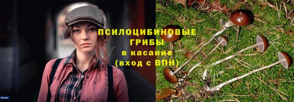 тгк Алексеевка