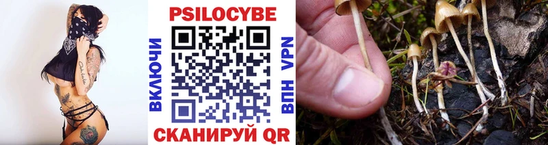 Псилоцибиновые грибы прущие грибы  как найти закладки  Кукмор 